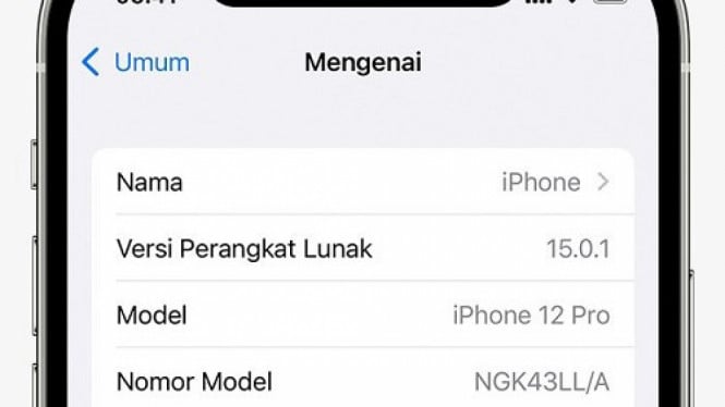 Cara Cek IMEI iPhone Bekas Terdaftar atau Tidak Saat Baru Beli