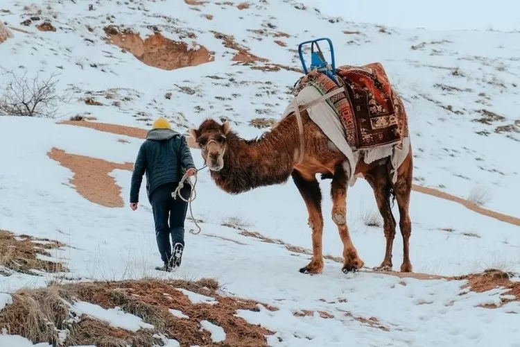 Hujan Salju Langka Lumpuhkan Teleskop ALMA di Gurun Atacama, Peringatan Perubahan Iklim Kian Nyata