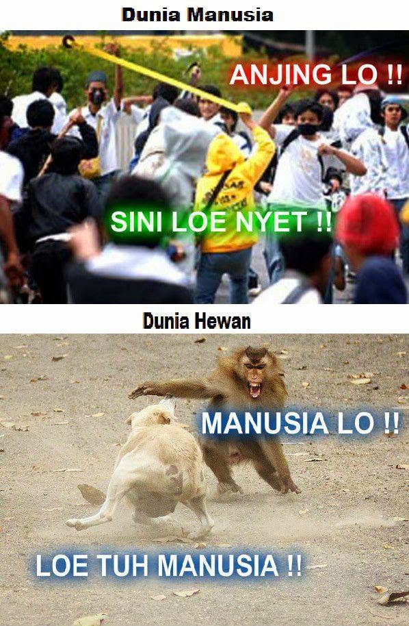 Keunikan Mata Hewan: Jendela Menakjubkan ke Dunia Lain yang Tersembunyi.