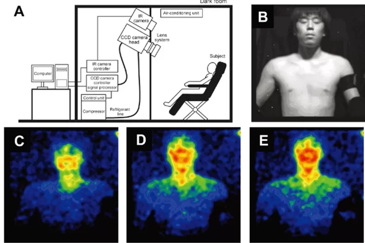 Manusia Bersinar: Mengungkap Fakta Ilmiah di Balik Cahaya Ultralemah Tubuh Kita